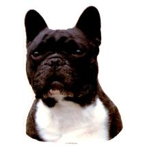 French Bulldogg Sticker Head