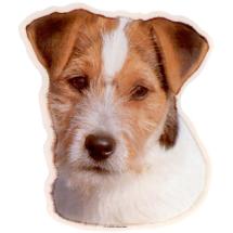 Jack Russell Terrier Rough Head Sticker