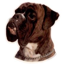 Boxer Brindle Uncropped Head Sticker