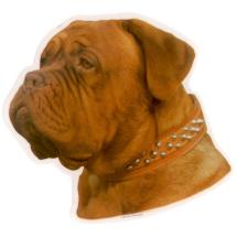 Dogue De Bordeaux Sticker Head