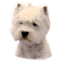 West Highland White Terrier Sticker Head