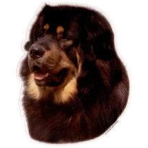 Tibetan Mastiff Sticker Head