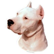 Dogo Argentino Cropped Sticker Head