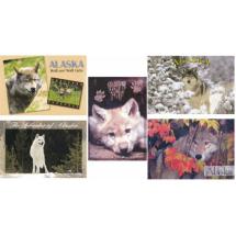 Pack 10 Wolf Post Cards