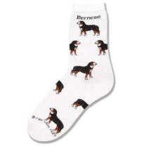 Bernese Socks