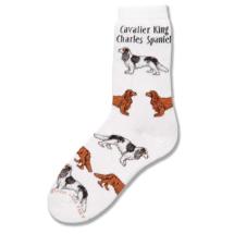 Cavalier King Charles Socks