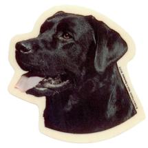 Black Labrador N°1 Sticker