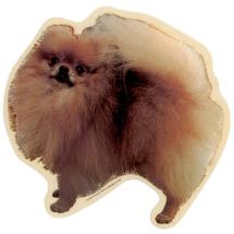 Pomeranian Sticker Standing
