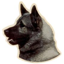 Norwegian Elkhound Sticker Head