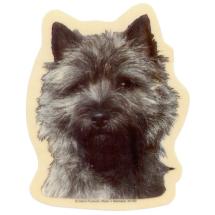 Cairn Terrier N°1 Sticker