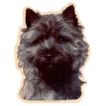 Cairn Terrier Sticker Head