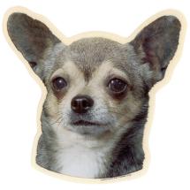 Chihuahua Smooth Hair Sticker Head