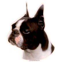 Boston Terrier Sticker Head