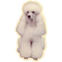 Poodle White Sticker Sitting