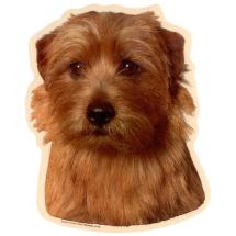 Norfolk Terrier Sticker Head