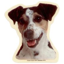 Jack Russell Smooth Sticker