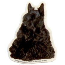 Scottish Terrier Sticker