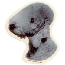 Bedlington Terrier Sticker