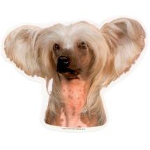 Chinese Crested Sticker Head N° 1
