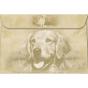 Golden Retriever Puppy Card Box