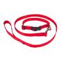 Adjustable Clip Collar + Leash for Puppy or Small Dog
