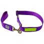 Special Mastiff O Ring Collar With Handle