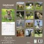 Calendar 2024 Greyhound