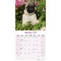 Calendar 2024 Pug