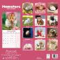 Hamsters 2024 Calendar