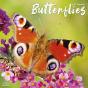 Calendar 2024 Butterflies