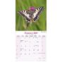 Calendar 2024 Butterflies