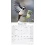 Calendar 2023 Garden Birds
