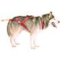Big Size Collared Neck Low Impact Taiga X-Back Harness
