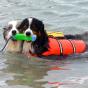 Amphibious Bumper Floating Dog Dummy Medium