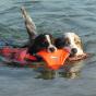 Heliflight Floating Dog Toy