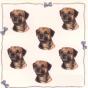 Border Terrier Mini Stickers