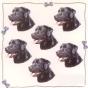 Black Labrador N°1 Mini Stickers