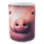Pig Big Face Mug