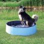 Dog Pool