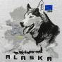 Iditarod Husky T-Shirt