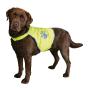 Safety Dog Jacket