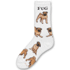 Socks Breeds From Bu To F