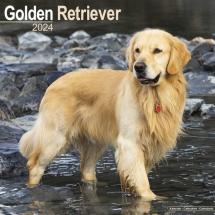 Calendrier Golden Retriever 2023