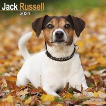 Calendrier Jack Russell Terrier 2023