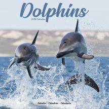 Calendrier Dauphins 2024