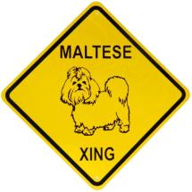 Plaque Bichon Maltais Crossing