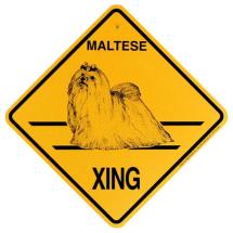 Plaque Crossing Bichon Maltais