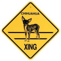 Plaque Crossing Chihuahua Poil Court