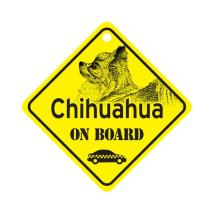 Chihuahua Poil Long On Board