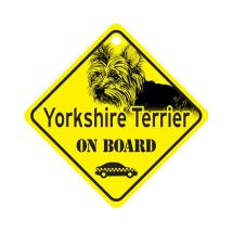 Yorkshire Coupe Puppy On Board